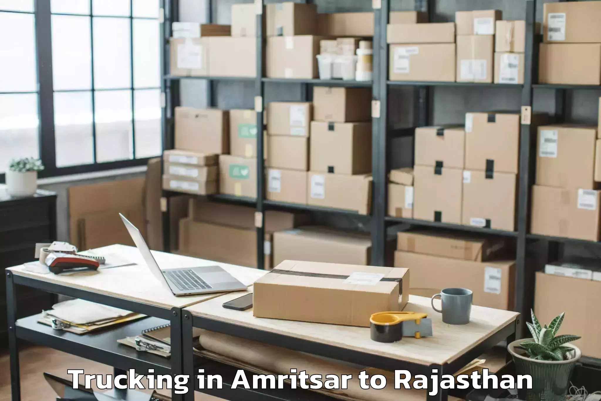 Easy Amritsar to Hindaun Trucking Booking